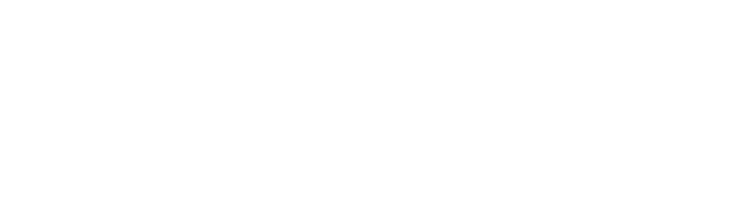 RAUSCH Technology Logo